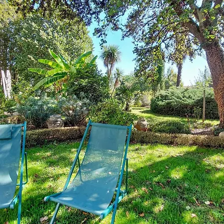 1 Bedroom Amazing In *